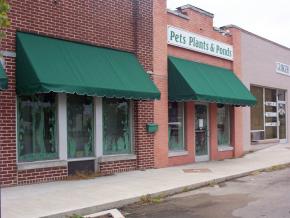 Vòm cửa sổ tại Mỹ Phước 2