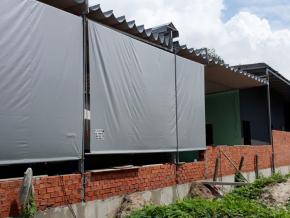 Mái thả tại Bắc Tân Uyên